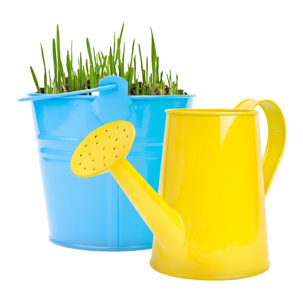 Narcissus Flower Watering Can Arrangement